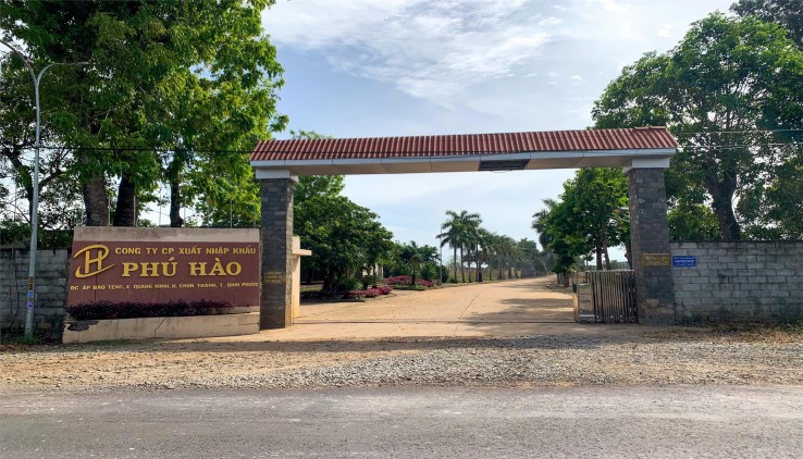 Bán 25 Mét Mặt Tiền Nhựa TT Chơn Thành Bình Phước Kho Xưởng Cty Đông Cách CN 900M, GIÁ 38TR/MN
